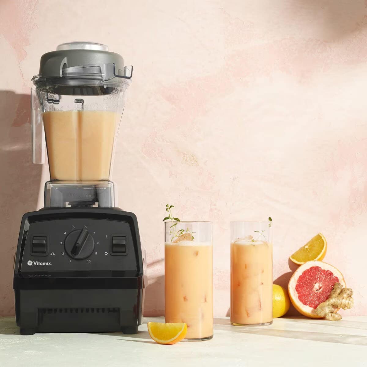 Vitamix Explorian Blender (E310)